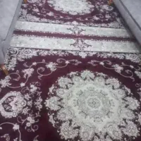 قالی|فرش|گتوند, |دیوار