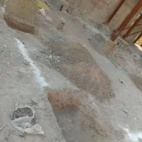 زمین 54 متری پیغمبر|فروش زمین و ملک کلنگی|رباط‌کریم, پیغمبر|دیوار