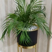 گل مصنوعی|گل مصنوعی|ملایر, |دیوار