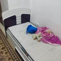 سرویس خواب نوجوان به همراه دوعدد تخت|اسباب و اثاث بچه|قم, شاه سید علی|دیوار