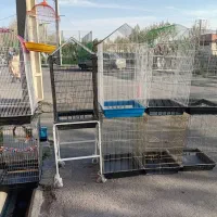 پخش لوازم پرندگان ققنوس