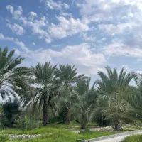 ساختمان نیمه ساز  مسکن ملی