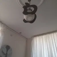 لوستر چوبی تک شاخه