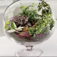 میز تلفن و تنگ تراریوم|میز تلفن|بندر انزلی, امامزاده|دیوار