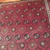 قالیچه دست بافت|فرش|زاهدان, |دیوار