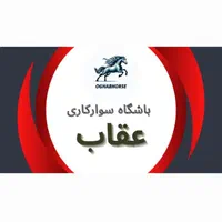 اموزش سوارکاری ،پانسیون،خرید و فروش اسب|اسب و تجهیزات اسب‌سواری|شیراز, دشت چنار|دیوار