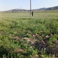 زمین دست اول در منطقه صنعتی صاحب الزمان