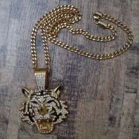 گردنبند رنگ ثابت ببر|بدلیجات|کرج, فاز ۳ گوهردشت|دیوار