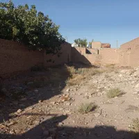 زمین 240متری اسدیه
