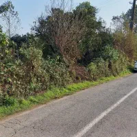 تنکابن۸۰۰مترلب آسفالت سند۶دانگ ۲ دقیقه تا دریا|فروش زمین و ملک کلنگی|شیرود, |دیوار