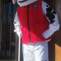 عروسک تن پوش|خدمات پذیرایی، مراسم|رشت, انصاری|دیوار