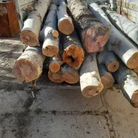 خریدار چوب