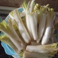 کنگر تازه و پاک شده