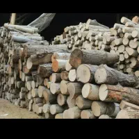 هیزم سیب و سنجد