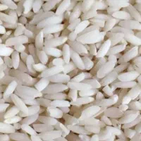 برنج عنبربو شوشتر