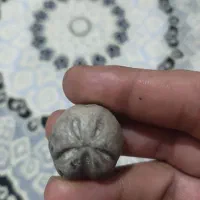 انواع مهره اصلی قدیمی|کلکسیون اشیاء عتیقه|ایلام, |دیوار