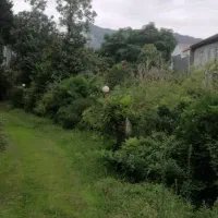 باغ ویلا ۲۷۰۰ متری بر اتوبان قابل تهاتر|فروش زمین و ملک کلنگی|رامسر, |دیوار