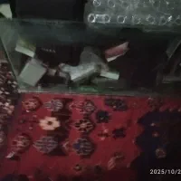 اکواریوم بزرگ|ماهی|کرمان, |دیوار