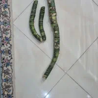 ساقه دیفن حداقل ۱۵ساله