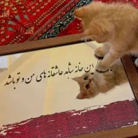 آینه آنتیک