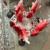 ماهی قرمز خارجی|ماهی|تهران, سهروردی|دیوار