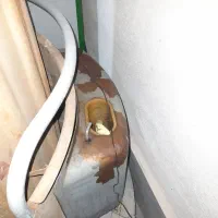 بخاری نفتی و گازوئیل فن دار|بخاری، هیتر، شومینه|ساوه, |دیوار