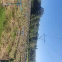 ۴۰۹۰ متر باغ کیوی با درختان سه ساله|فروش دفتر صنعتی، کشاورزی، تجاری|قائمشهر, |دیوار