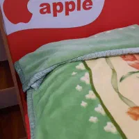 تخت و تشک یک نفره