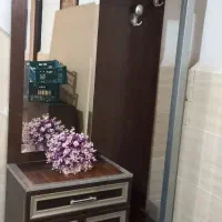 جاکفشی باایینه ورختکن درشاهین ویلا