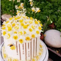 دورهای پخت انواع کیک وشیرینی از مبتدی تا پیشرفته