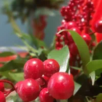 آتلیه ویژه یلدا،ثبت لحظات شیرین باتخفیف