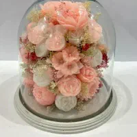 گل شمعی جاودان