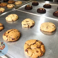 کیک و کروکی وبلوندی و کوکی کافه ای در عظیمیه|خدمات پذیرایی، مراسم|کرج, عظیمیه|دیوار