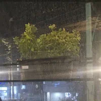 زمین-امیر-آباد