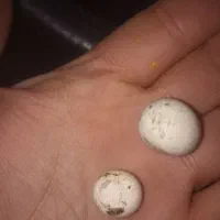 سنگ آسیاب|جواهرات|قزوین, |دیوار