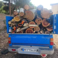 چوب ودرخت|خدمات باغبانی و درختکاری|کرمانشاه, |دیوار