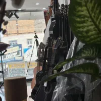 مجموعه موسیقی سل لا