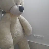 خرس عروسکی بزرگ|اسباببازی|قم, نوبهار|دیوار