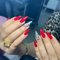 کاشت دست|خدمات آرایشگری و زیبایی|نیشابور, فردوس شمالی|دیوار