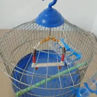 قفس حیوانات