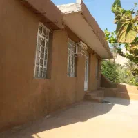 کاهگل کاه گل بدون تغییررنک