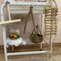 ۲ عدد قفس پرنده بهمراه ملزومات|لوازم جانبی حیوانات|رشت, کوی بیانی|دیوار