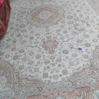 فرش ۱۲متری|فرش|کاشان, سلطان امیر احمد|دیوار