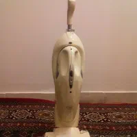 جاروشارژی