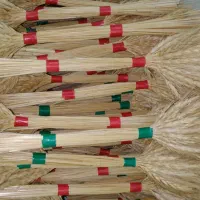 گندم طلای|گل و گیاه طبیعی|خاوران, |دیوار