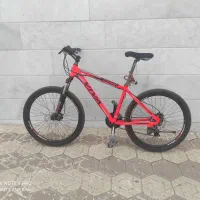 دوچرخه VIVA|دوچرخه، اسکیت، اسکوتر|مریوان, |دیوار