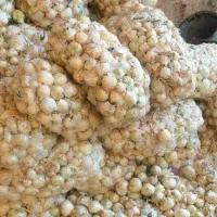 استخدام یک بانو برای پوست کندن پیاز