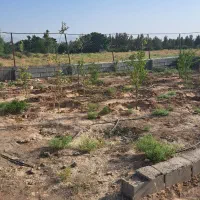 باغ فروشی نقدو اقساط|فروش زمین و ملک کلنگی|دلیجان, |دیوار