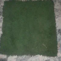 موکت ۶متری قیمت مناسب|موکت|مشهد, میعاد (شهرک غرب)|دیوار