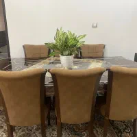 میز غذاخوری خوری ۸نفره(برند سرشناس به چوب)